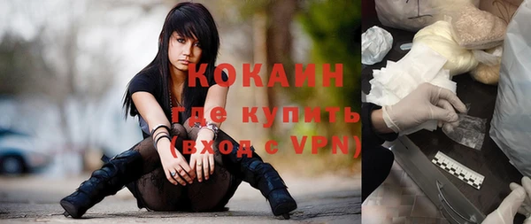 индика Бронницы