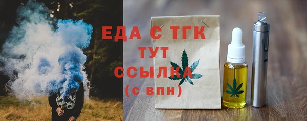 индика Бронницы