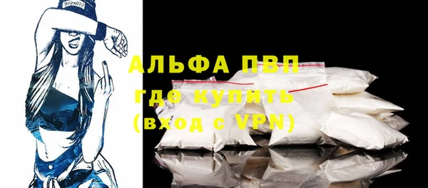 индика Бронницы
