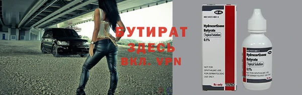 индика Бронницы
