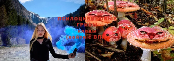 соль курить ск Бородино