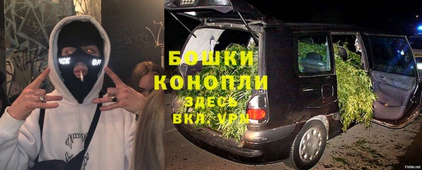 индика Бронницы