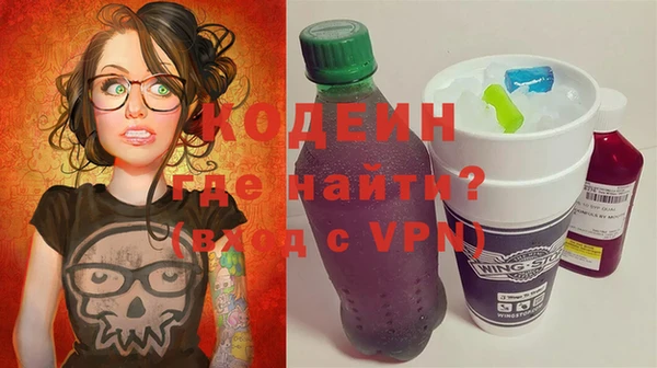 индика Бронницы