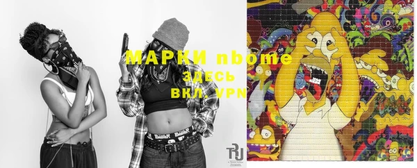 индика Бронницы