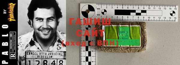 индика Бронницы