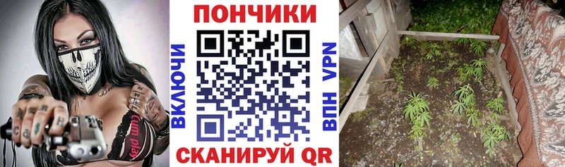Купить закладки  Слюдянка  Канабис Amnesia 